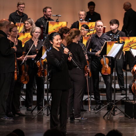 EinKlang – Musik und Tanz - 05. Juli - Orchester der OWL Kammerphilharmonie, Fotograf: Jo Titze